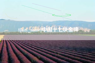 镇江中国十七块金牌