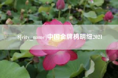 镇江中国金牌榜明细2021