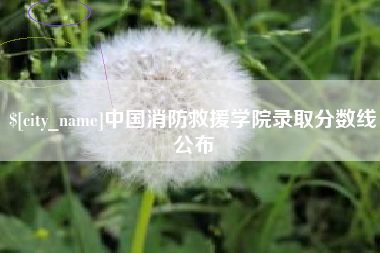 镇江中国消防救援学院录取分数线公布