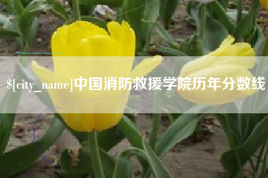 镇江中国消防救援学院历年分数线