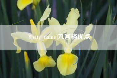 镇江九宫格优点