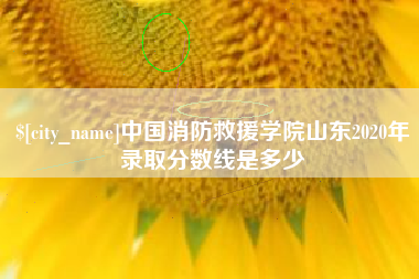 镇江中国消防救援学院山东2020年录取分数线是多少