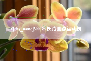 镇江5000米长跑国家运动员