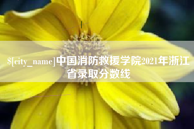 镇江中国消防救援学院2021年浙江省录取分数线