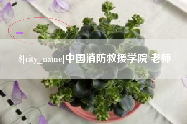 镇江中国消防救援学院 老师