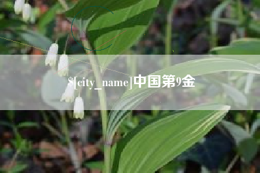 镇江中国第9金