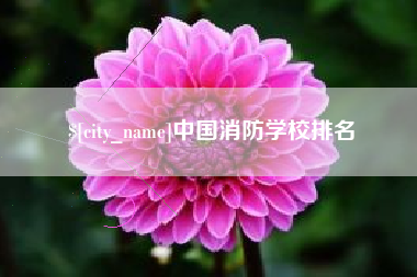 镇江中国消防学校排名