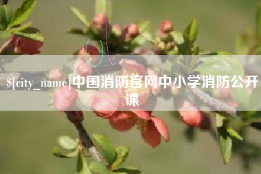 镇江中国消防官网中小学消防公开课