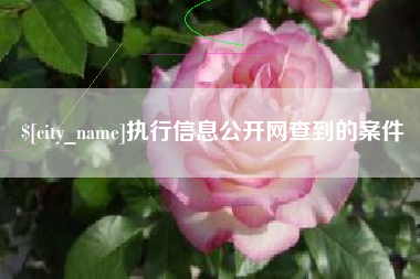 镇江执行信息公开网查到的案件