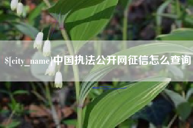 镇江中国执法公开网征信怎么查询