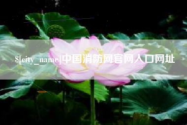 镇江中国消防网官网入口网址