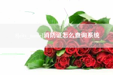 镇江消防证怎么查询系统