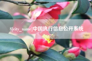 镇江中国执行信息公开系统