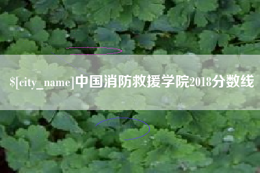 镇江中国消防救援学院2018分数线