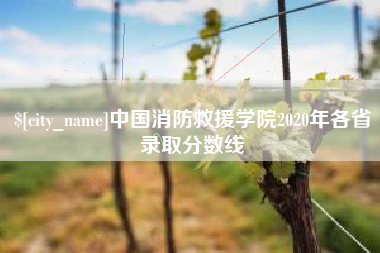 镇江中国消防救援学院2020年各省录取分数线