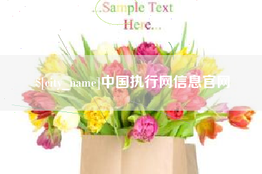镇江中国执行网信息官网