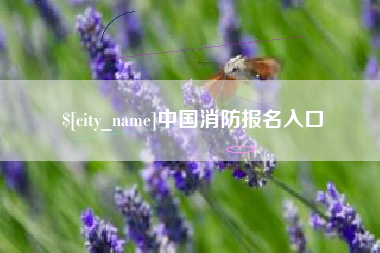 镇江中国消防报名入口