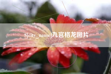 镇江九宫格龙图片
