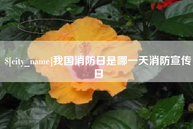 镇江我国消防日是哪一天消防宣传日