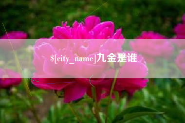 镇江九金是谁