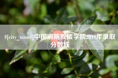 镇江中国消防救援学院2019年录取分数线