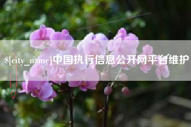 镇江中国执行信息公开网平台维护