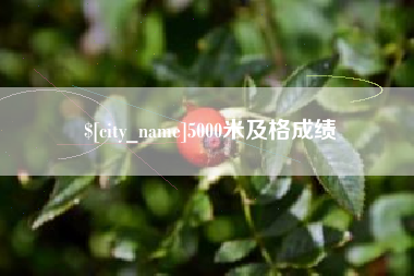 镇江5000米及格成绩