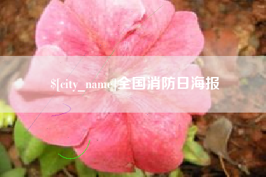 镇江全国消防日海报
