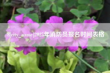镇江2025年消防员报名时间表格