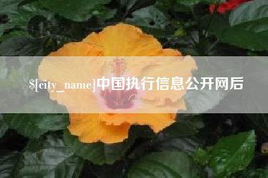 镇江中国执行信息公开网后