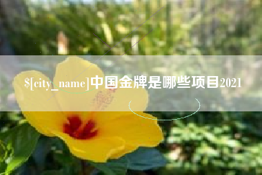 镇江中国金牌是哪些项目2021
