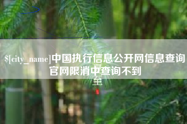 镇江中国执行信息公开网信息查询官网限消中查询不到