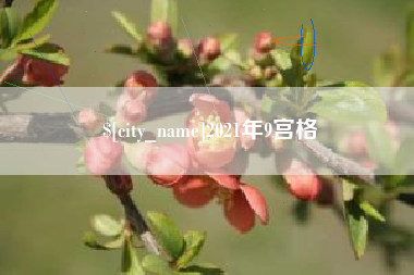 镇江2021年9宫格