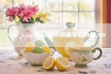 镇江中国消防救援学院分数2020