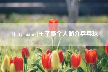 镇江王子豪个人简介乒乓球