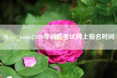 镇江2020年消防考试网上报名时间