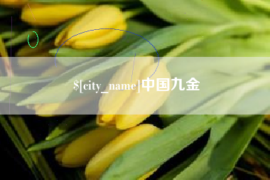 镇江中国九金