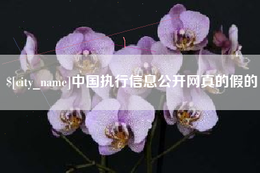 镇江中国执行信息公开网真的假的