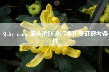 镇江重庆消防设施操作员证报考条件