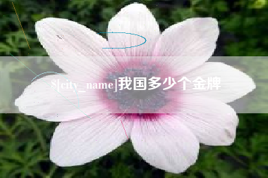 镇江我国多少个金牌