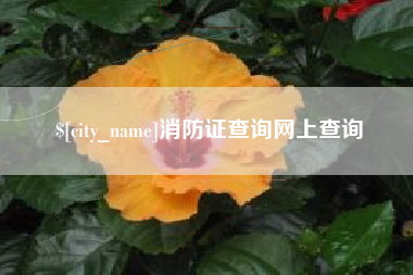 镇江消防证查询网上查询