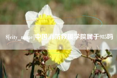 镇江中国消防救援学院属于985吗