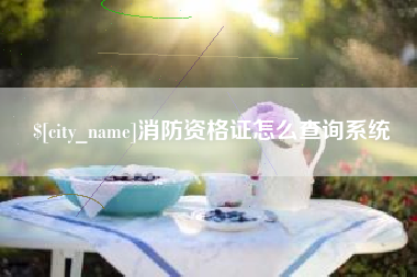 镇江消防资格证怎么查询系统