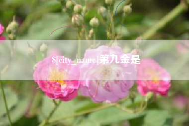 镇江第九金是