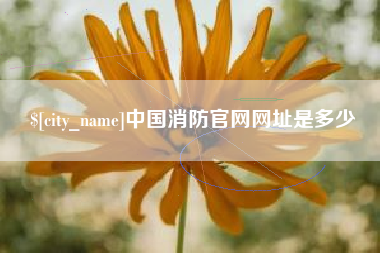 镇江中国消防官网网址是多少