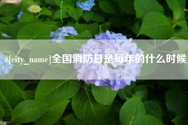 镇江全国消防日是每年的什么时候