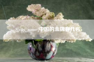 镇江中国的金牌有几名