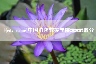 镇江中国消防救援学院2020录取分