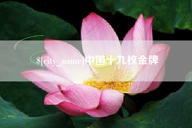 镇江中国十九枚金牌