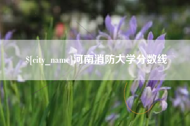 镇江河南消防大学分数线